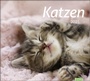 Bild: times&more Katzen Bildkalender Kalender 2021 - Heye