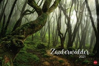 Bild vergrößern Bild: Zauberwälder Edition Kalender 2021 - Heye