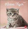 Bild: Katzen Postkartenkalender Kleine Tiger Kalender 2021 - Heye