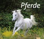 Cover: times&more Pferde Bildkalender Kalender 2021 - Heye