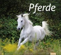 Cover: times&more Pferde Bildkalender Kalender 2021 - Heye
