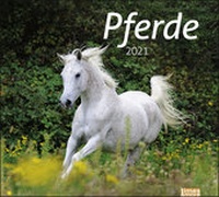 Enlarge image Cover: times&more Pferde Bildkalender Kalender 2021 - Heye