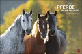 Cover: Pferde Meine Freunde Kalender 2021 - Heye