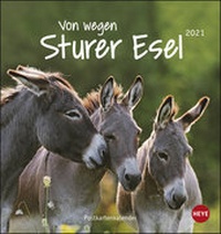 Abbildung von: Esel Postkartenkalender - Von wegen sturer Esel Kalender 2021 - Heye