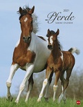 Cover: Pferde Classics Kalender 2021 - Heye