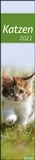 Bild: times&more Katzen long Kalender 2021 - Heye