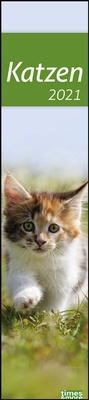 Bild vergrößern Bild: times&more Katzen long Kalender 2021 - Heye