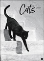 Bild: Wegler Cats Edition Kalender 2021 - Heye