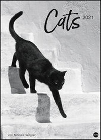 Bild vergrößern Bild: Wegler Cats Edition Kalender 2021 - Heye