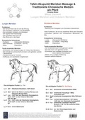 Cover: Metall Element. Lungen und Dickdarm Meridian. - BACOPA