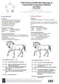 Abbildung von: Metall Element. Lungen und Dickdarm Meridian. - BACOPA