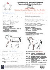 Abbildung von: Feuer Element 2. Kreislauf-Sexus und San Jiao Meridian. - BACOPA