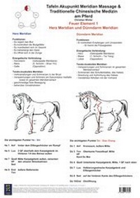 Abbildung von: Feuer Element 1. Herz und Dünndarm Meridian. - BACOPA