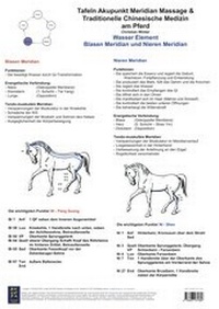 Abbildung von: Wasser Element. Blasen und Nieren Meridian. - BACOPA