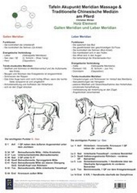 Abbildung von: Holz Element. Gallen und Leber Meridian. - BACOPA