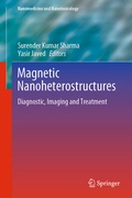 Cover: Magnetic Nanoheterostructures - Springer