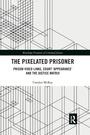 Cover: The Pixelated Prisoner - Routledge