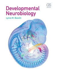 Abbildung von: Developmental Neurobiology - Garland Science