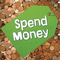Cover: Spend Money - Raintree
