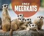 Cover: A Mob of Meerkats - Raintree