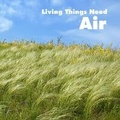Cover: Living Things Need Air - Raintree