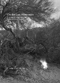 Enlarge image Cover: On the Last Afternoon - Sternberg Press