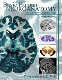 Enlarge image Cover: Basic Human Neuroanatomy - Lulu.com