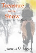 Cover: Treasure in the Snow - By the Light Books