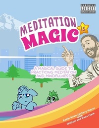 Enlarge image Cover: Meditation is Magic - Religion Outside the Box