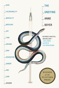 Enlarge image Cover: The Undying - Picador USA