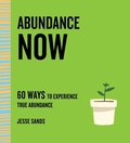 Cover: Abundance Now - St Martin's Press