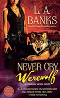 Cover: Never Cry Werewolf - St. Martin's Griffin