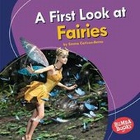 Enlarge image Cover: A First Look at Fairies - Lerner Publications (Tm)
