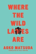 Cover: Where the Wild Ladies Are - Soft Skull Press