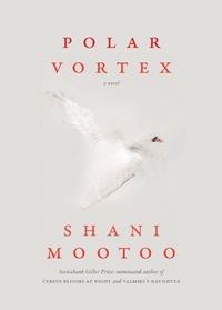 Enlarge image Cover: Polar Vortex - Akashic Books,U.S.