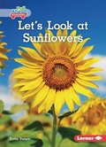 Cover: Let's Look at Sunflowers - Lerner Publishing Group