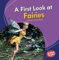 Cover: A First Look at Fairies - Lerner Publishing Group