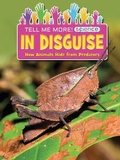 Cover: In Disguise - Ruby Tuesday Books