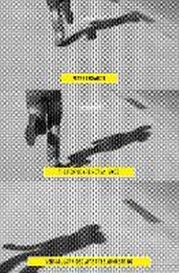 Enlarge image Cover: The People Are Not an Image - Verso Books
