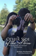 Cover: The Other Side of the Storm - Cobb Publishing