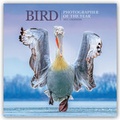 Cover: Bird - V&ouml;gel - Ausgezeichnete Fotografen des Jahres 2021 - St&uuml;rtz