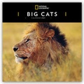 Cover: Big Cats - Raubkatzen - L&ouml;wen - Tiger - Geparden - Leoparden 2021 - St&uuml;rtz