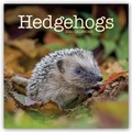 Cover: Hedgehogs - Igel 2021 - St&uuml;rtz