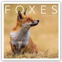 Cover: Foxes - Fuchs - Füchse 2021 - Stürtz