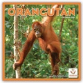 Cover: Orangutan - Orang-Utans 2021 - St&uuml;rtz