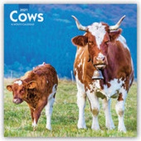 Abbildung von: Cows - Kühe 2021 - 16-Monatskalender - Browntrout Publishers