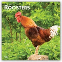 Abbildung von: Roosters - Hähne 2021 - 16-Monatskalender - Browntrout Publishers