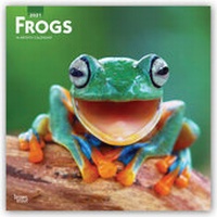 Abbildung von: Frogs - Frösche 2021 - 16-Monatskalender - Browntrout Publishers