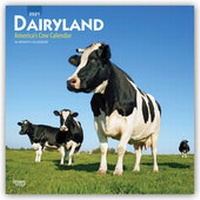 Abbildung von: Dairyland - America's Cow Calendar - Molkereiland - Amerikas Kuh-Kalender 2021 - 16-Monatskalender - Browntrout Publishers