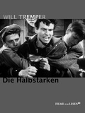 Cover: Die Halbstarken - MEDIA Net-Edition